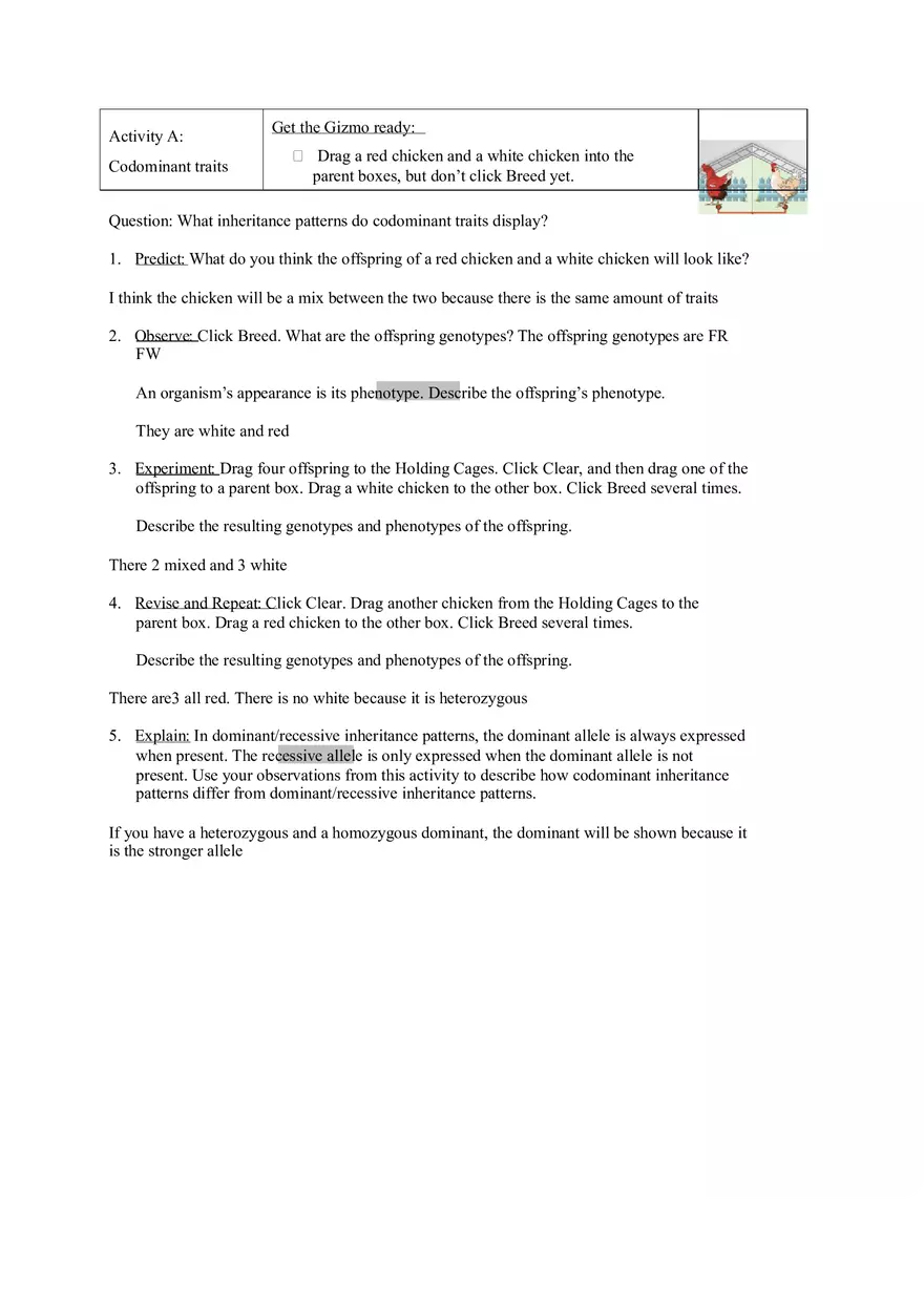 Chicken Genetics - Page 2