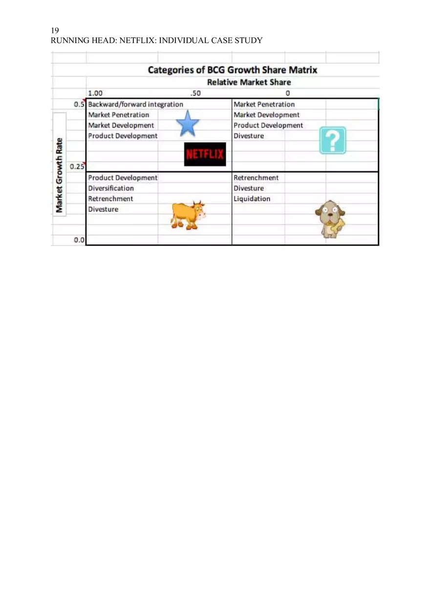 Netflix Individual Case Study - Page 10