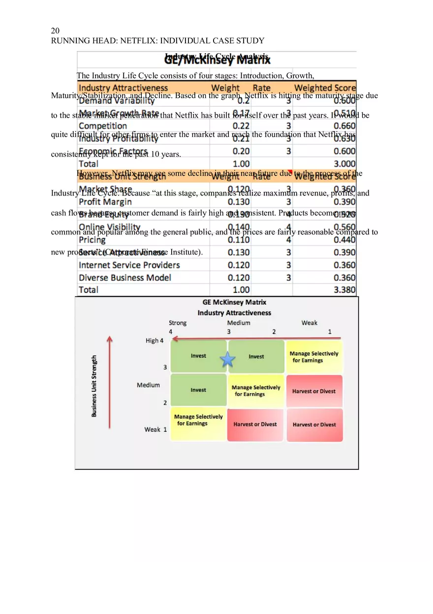 Netflix Individual Case Study - Page 11