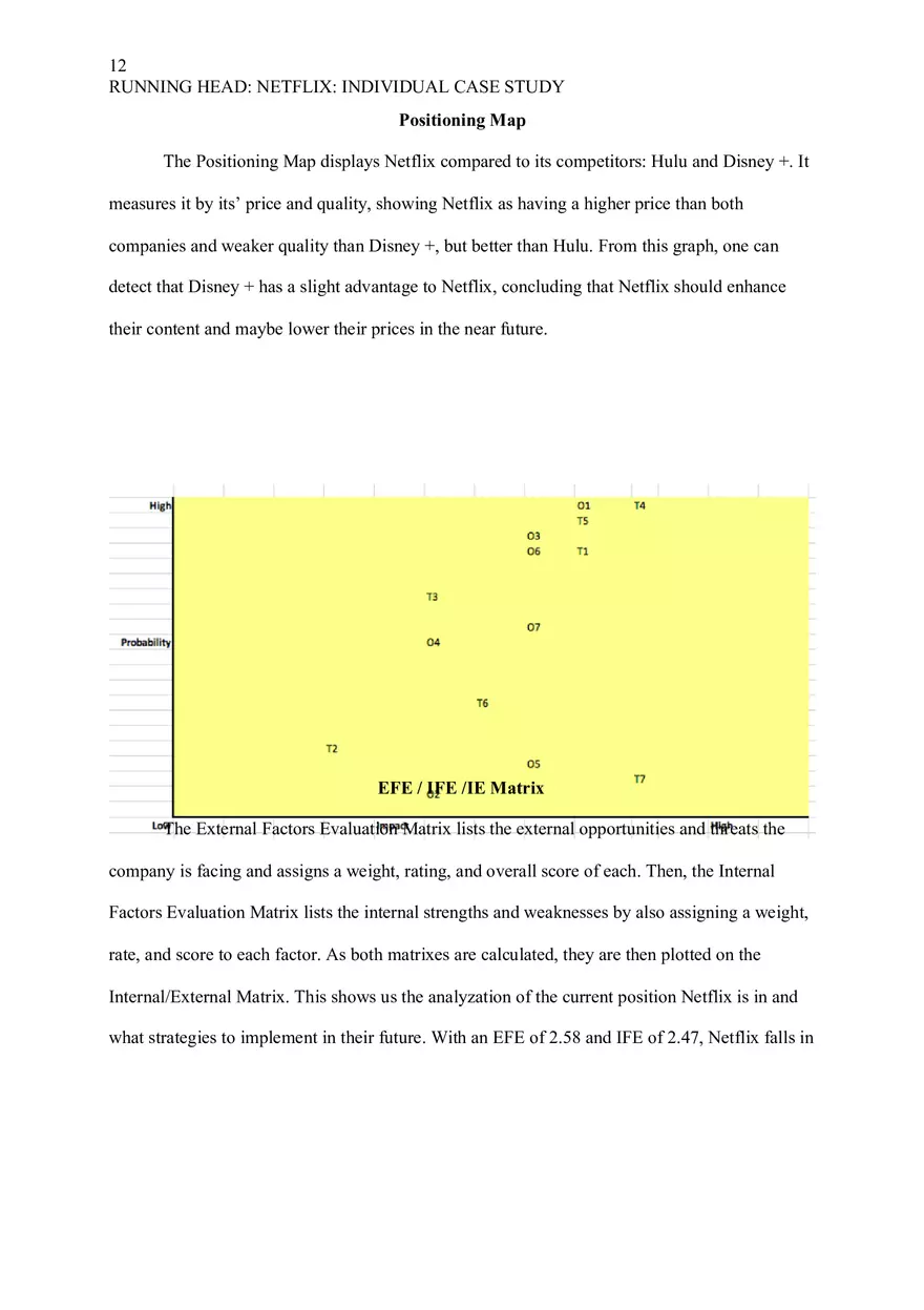 Netflix Individual Case Study - Page 3