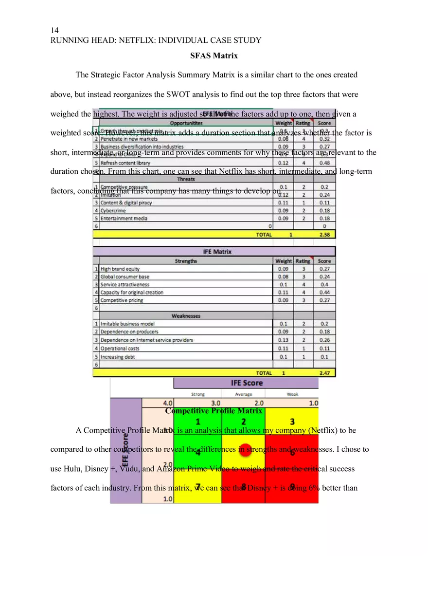 Netflix Individual Case Study - Page 5