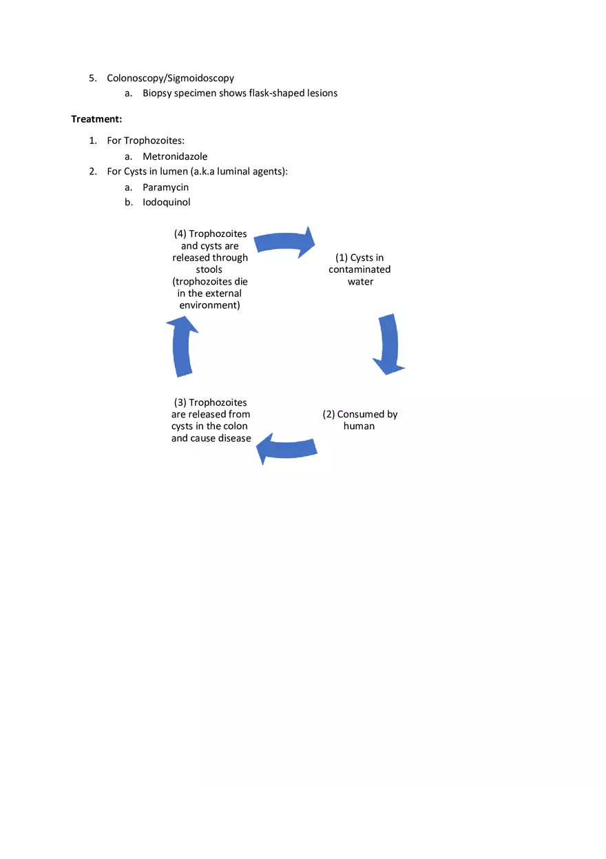 Entamoeba Histolytica - Page 2