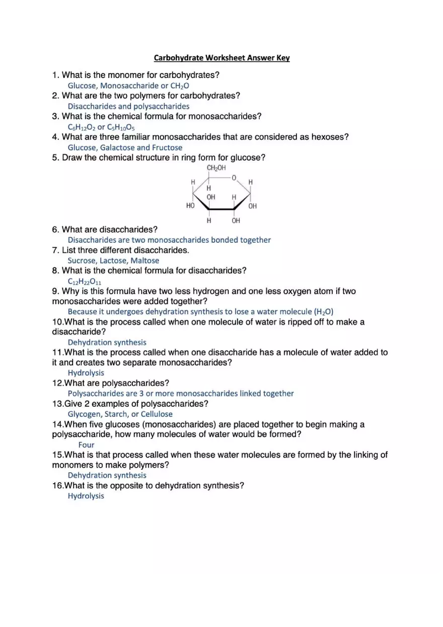 Carbohydrate Worksheet Answer Key - Page 1