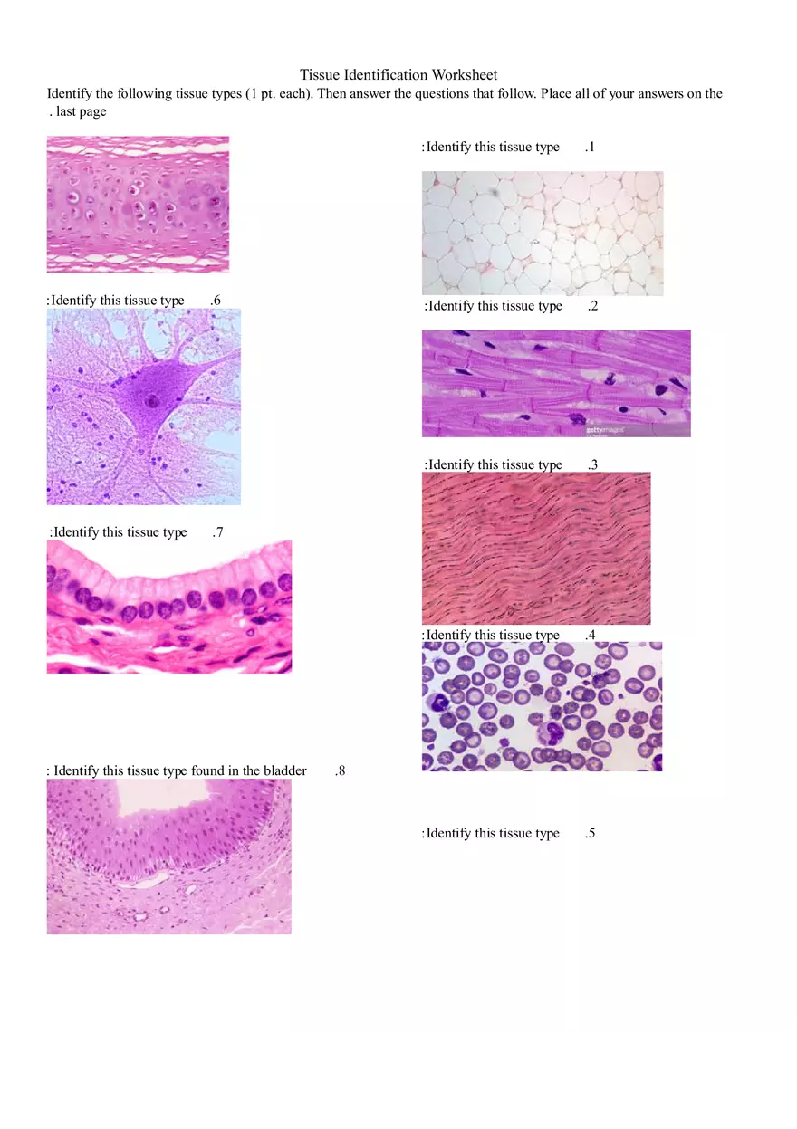 Tissue Identification Workshee - Page 1