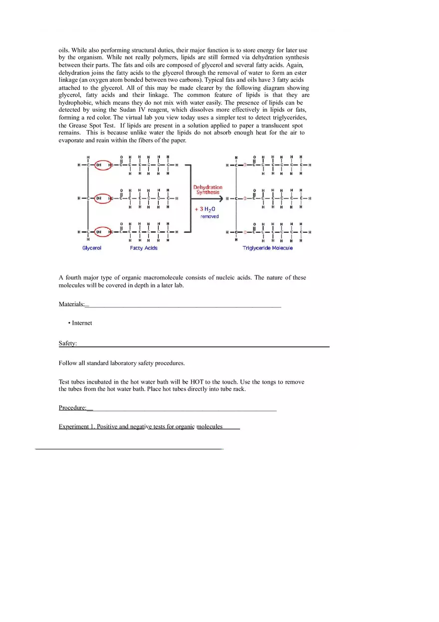 Macromolecules (with Lab Simulation) - Page 3
