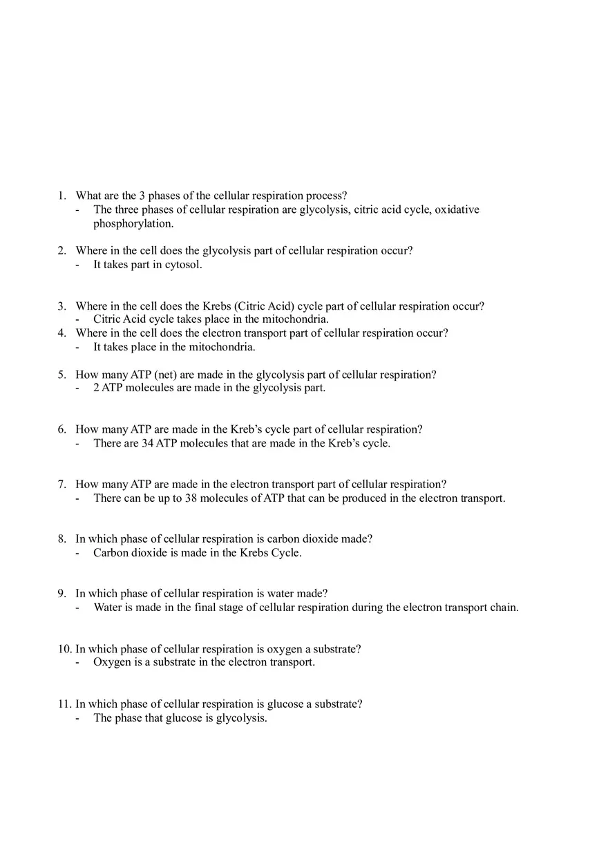 Cellular Respiration Worksheet - Page 1