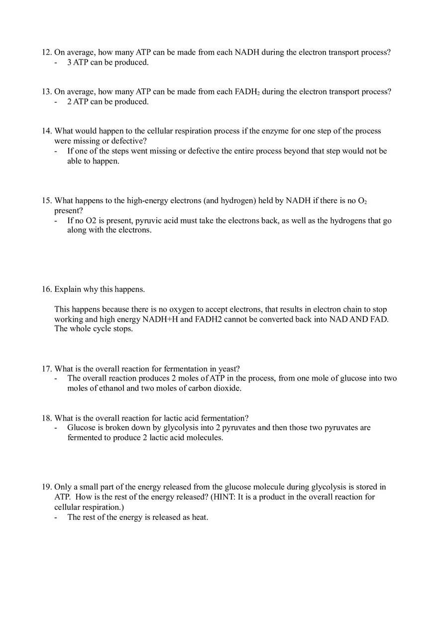Cellular Respiration Worksheet - Page 2