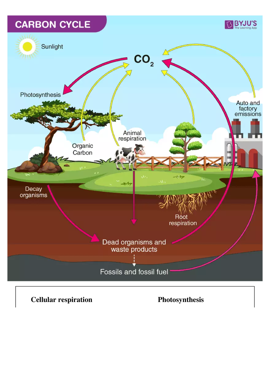 Sustainability of Ecosystems and Climate Change Unit - Page 20