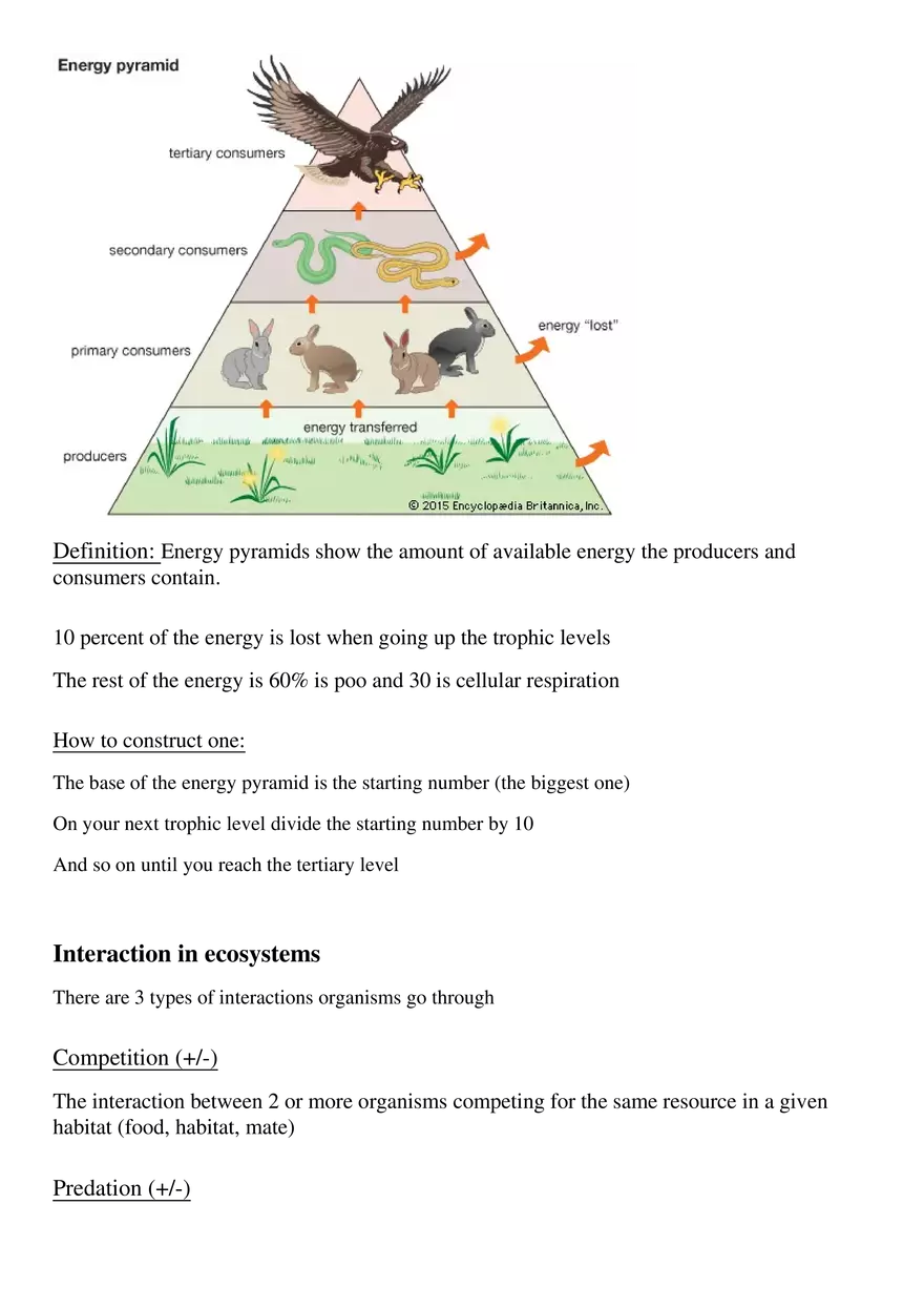 Sustainability of Ecosystems and Climate Change Unit - Page 4