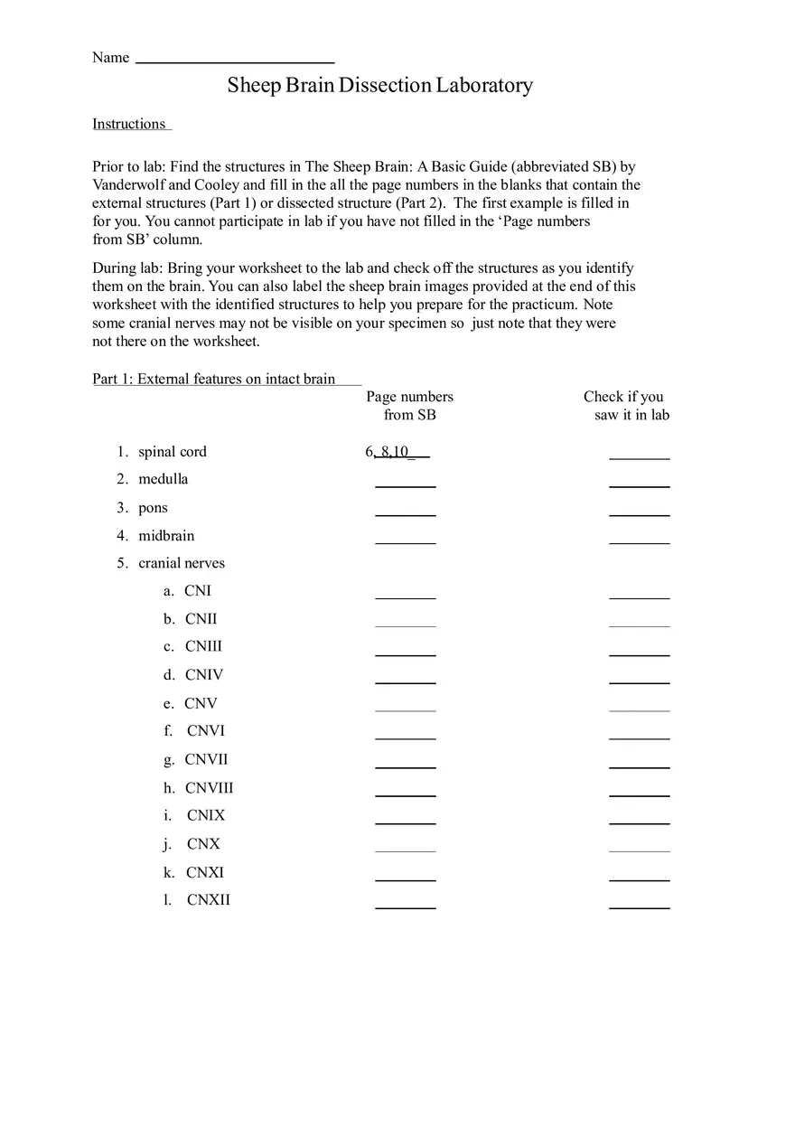 Sheep Brain Dissection Laboratory - Page 1