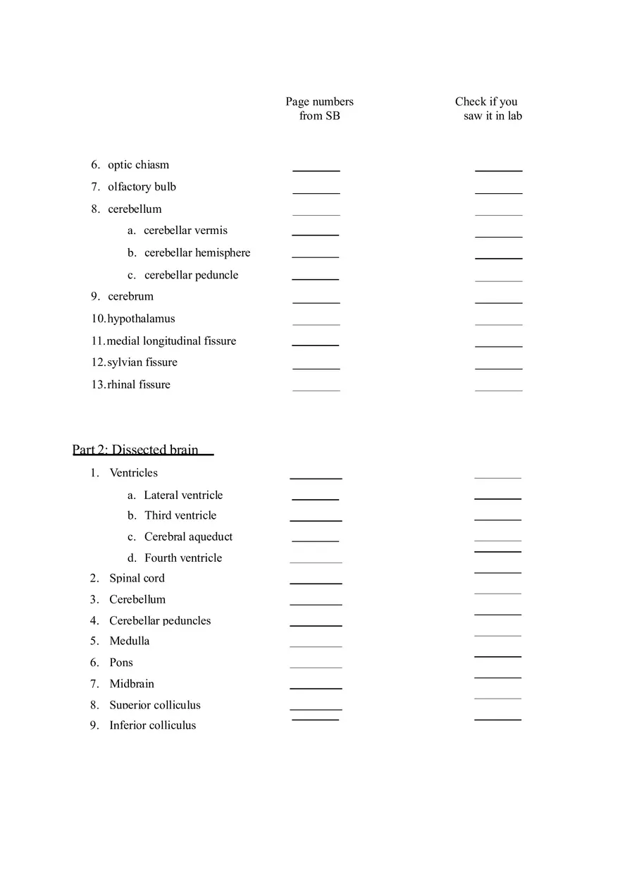 Sheep Brain Dissection Laboratory - Page 2