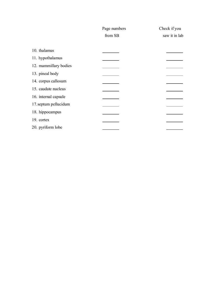 Sheep Brain Dissection Laboratory - Page 3