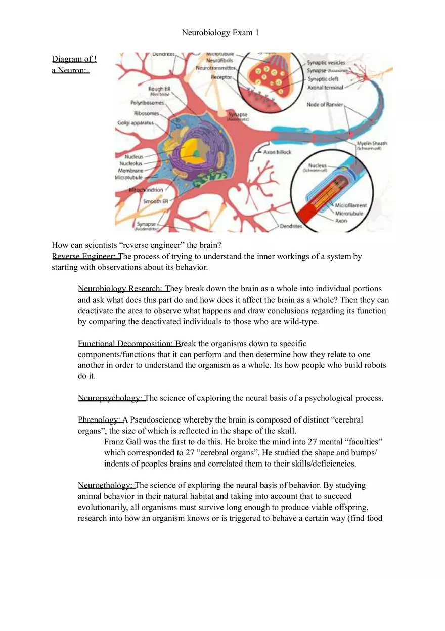 Understanding Brain Dissection and Histology Part 1 - Page 9