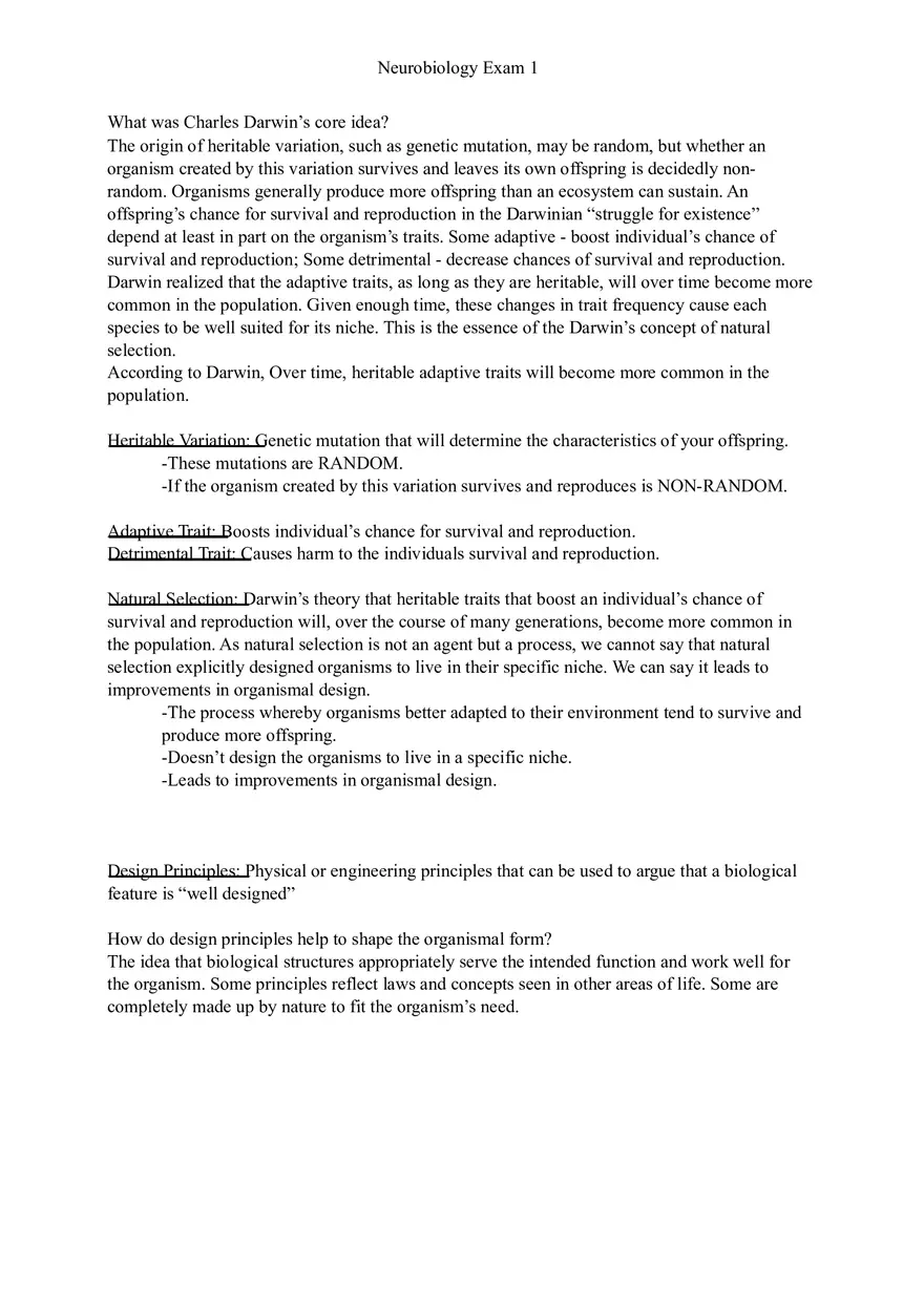 Understanding Brain Dissection and Histology Part 1 - Page 2