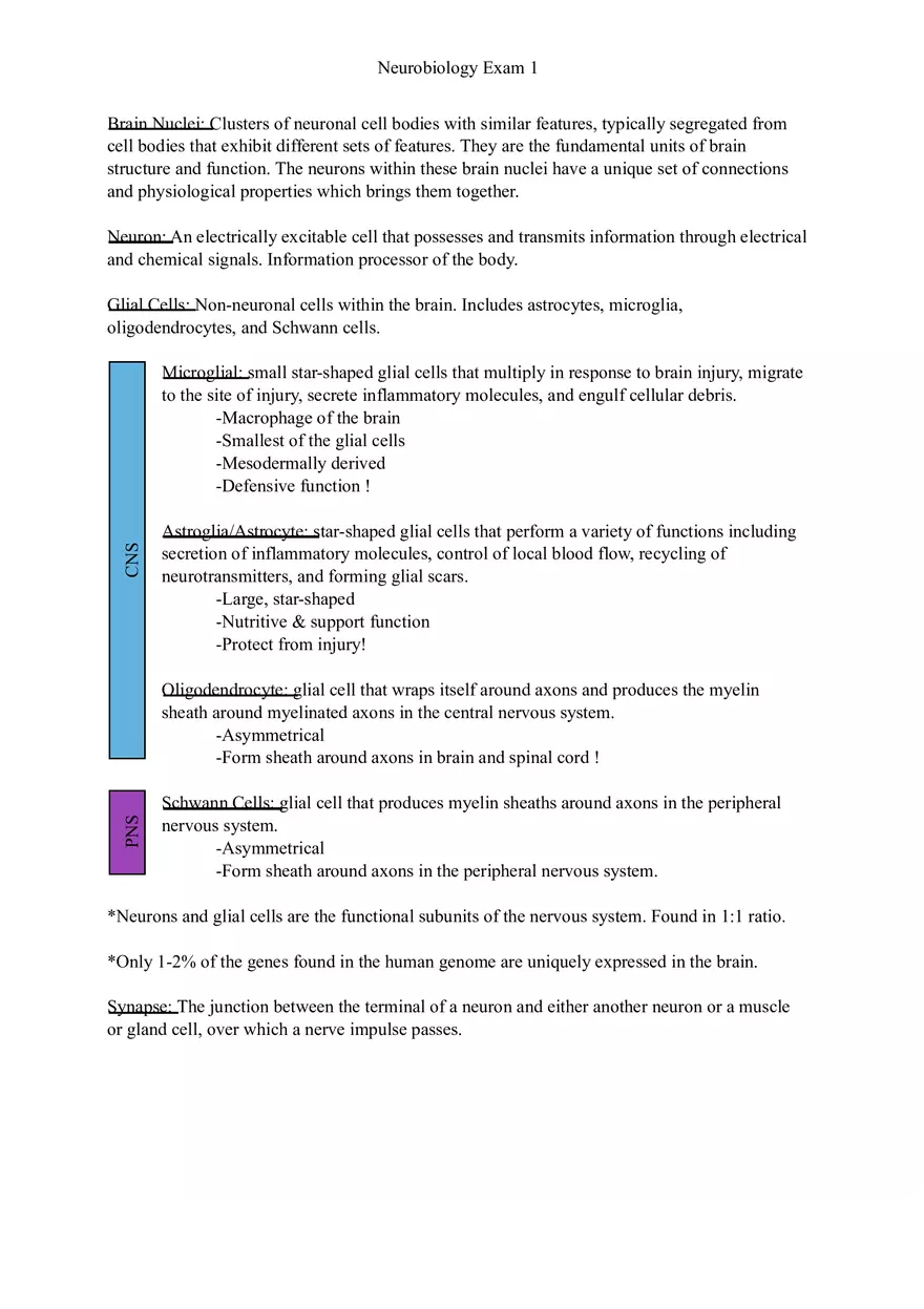 Understanding Brain Dissection and Histology Part 1 - Page 5