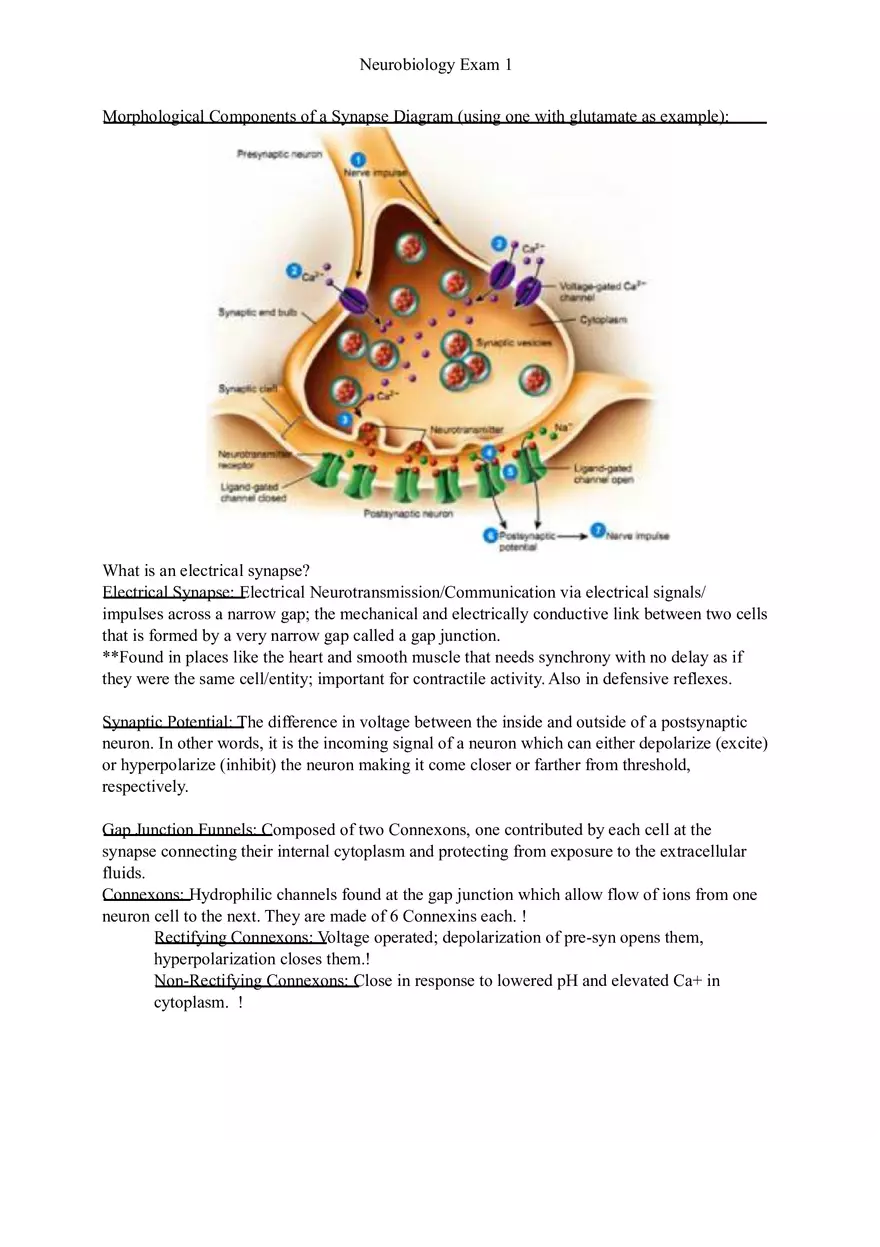 Understanding Brain Dissection and Histology Part 3 - Page 3