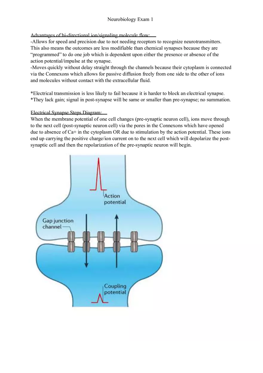 Understanding Brain Dissection and Histology Part 3 - Page 4