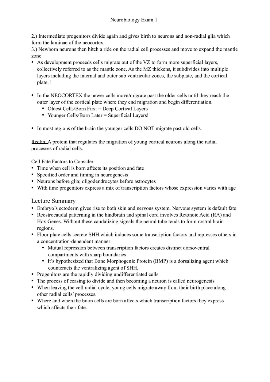 Understanding Brain Dissection and Histology Part 6 - Page 7