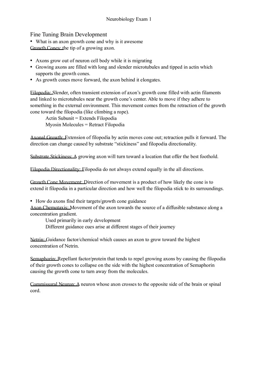 Understanding Brain Dissection and Histology Part 6 - Page 8