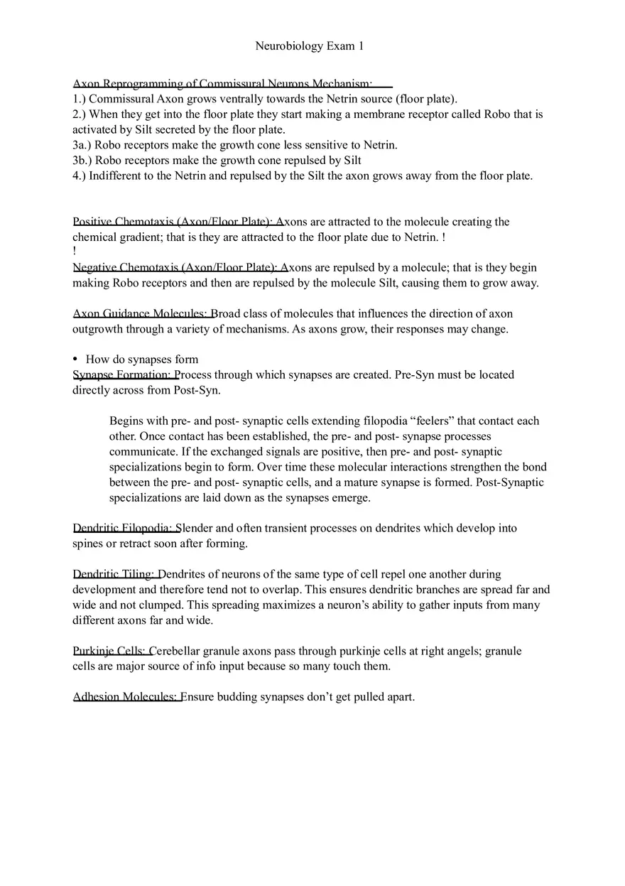 Understanding Brain Dissection and Histology Part 6 - Page 9