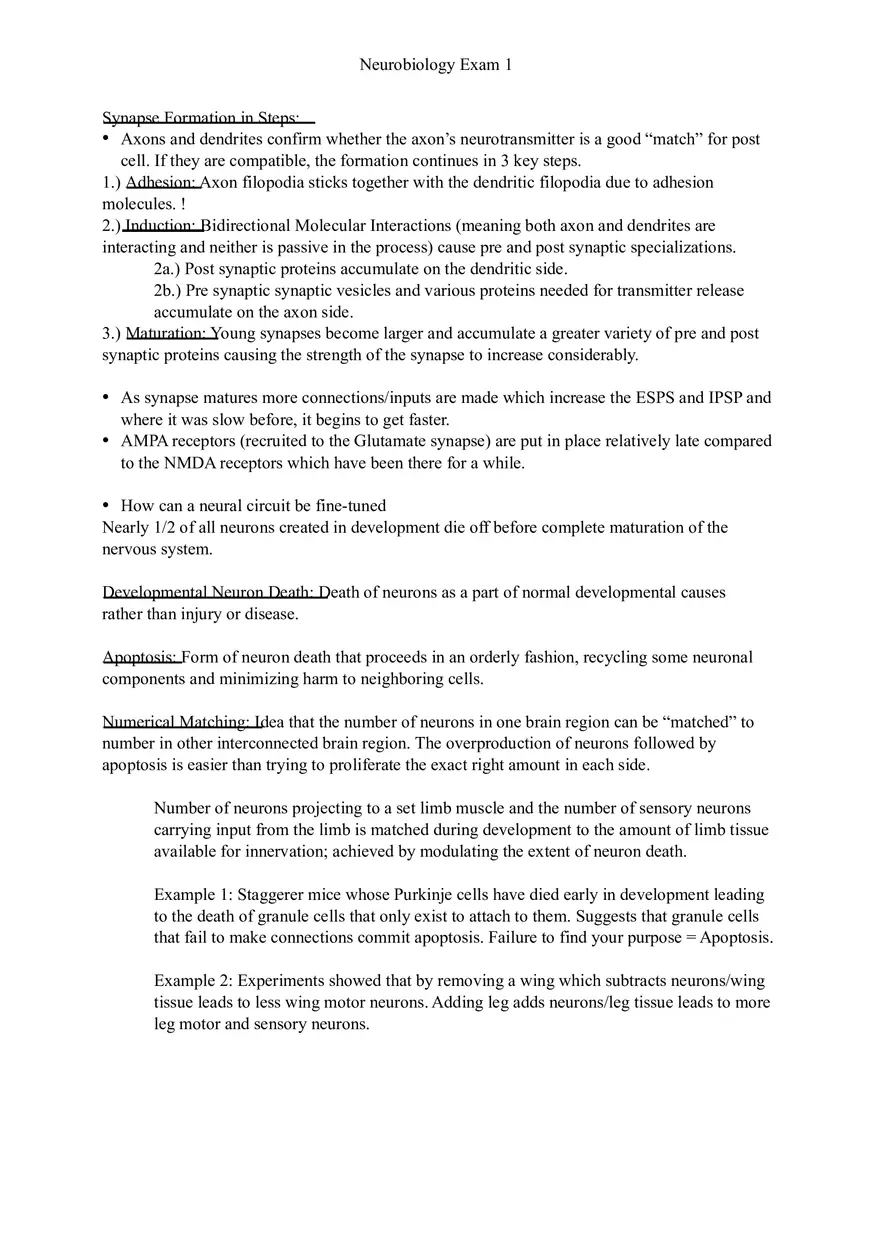 Understanding Brain Dissection and Histology Part 6 - Page 10