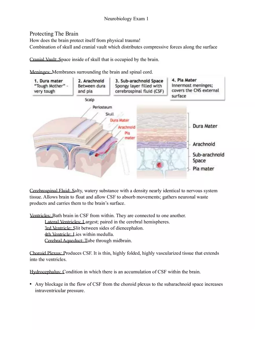 Understanding Brain Dissection and Histology Part 6 - Page 12