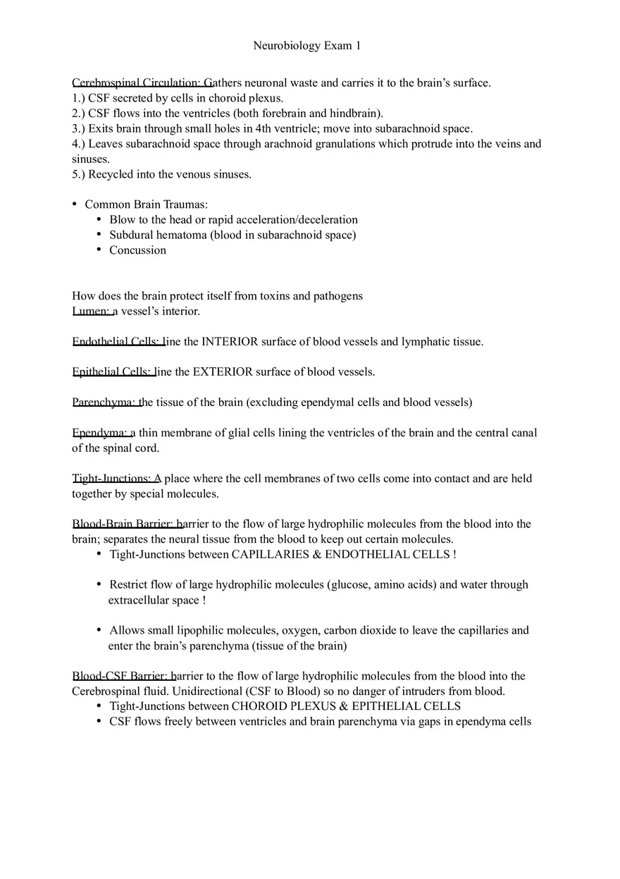 Understanding Brain Dissection and Histology Part 6 - Page 13