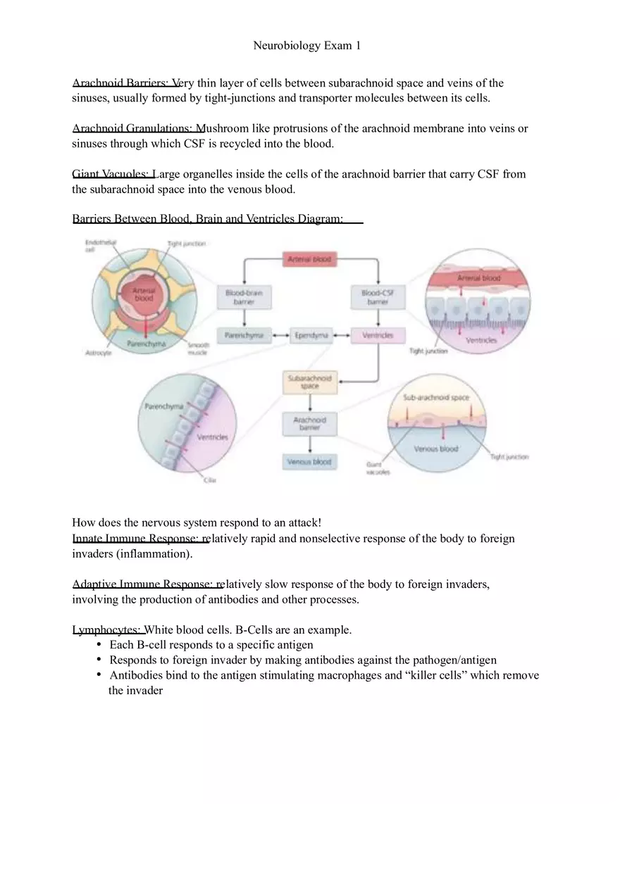 Understanding Brain Dissection and Histology Part 6 - Page 3