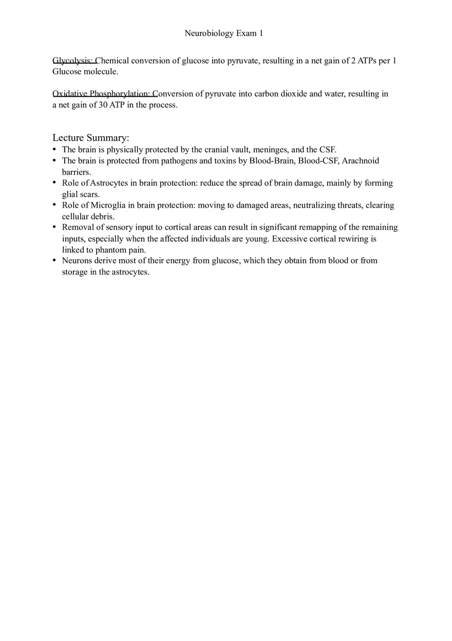 Understanding Brain Dissection and Histology Part 6 - Page 5