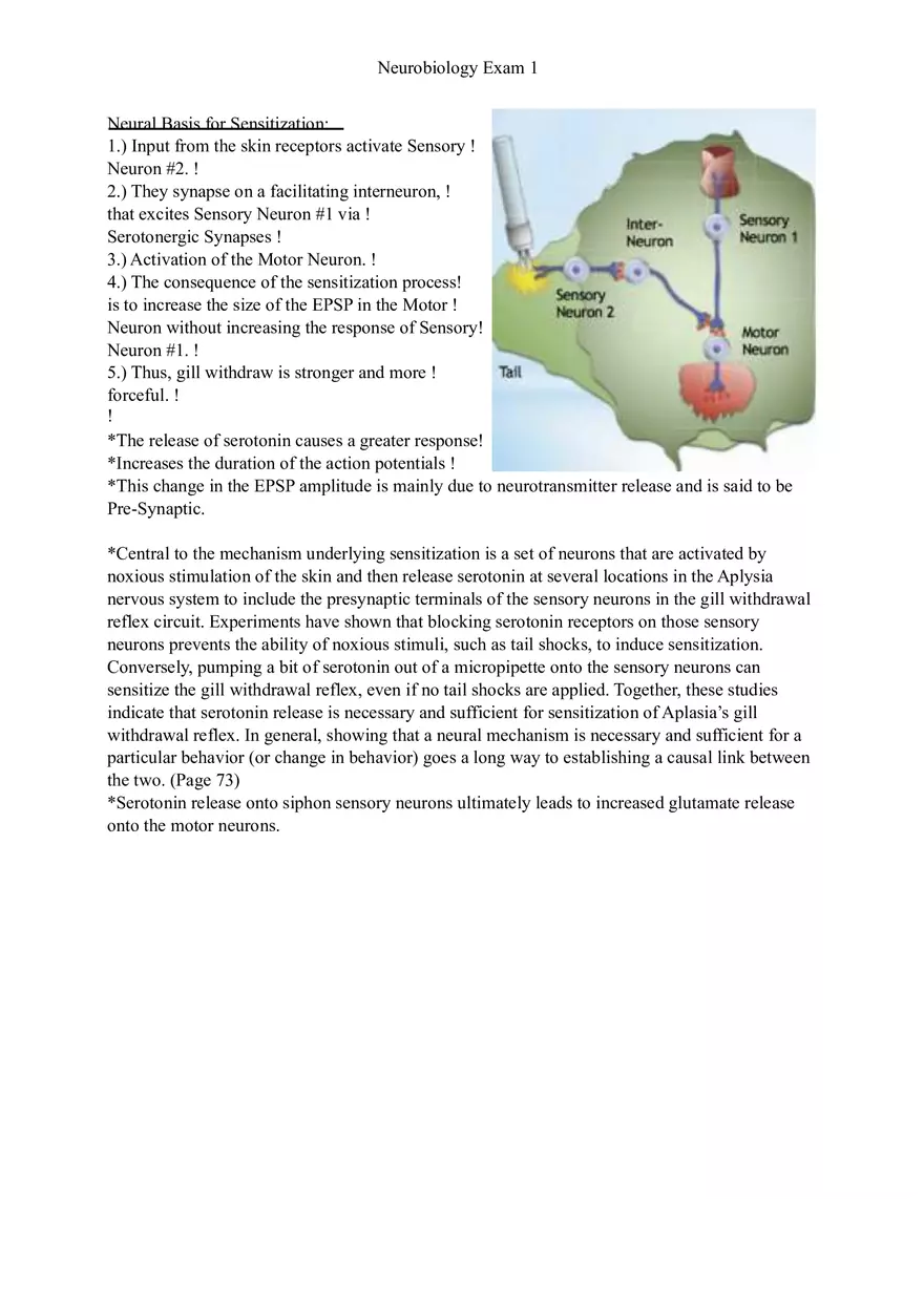 Understanding Brain Dissection and Histology Part 4 - Page 7