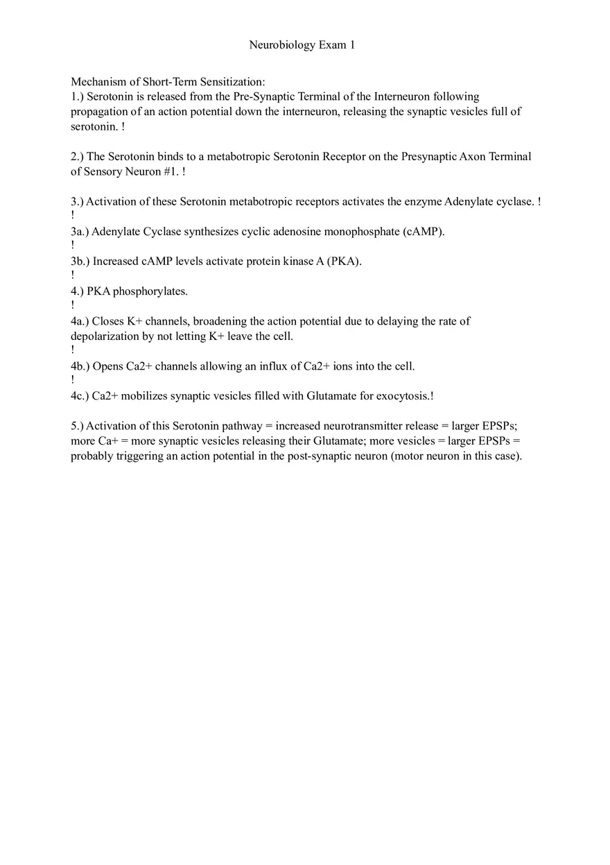 Understanding Brain Dissection and Histology Part 4 - Page 8