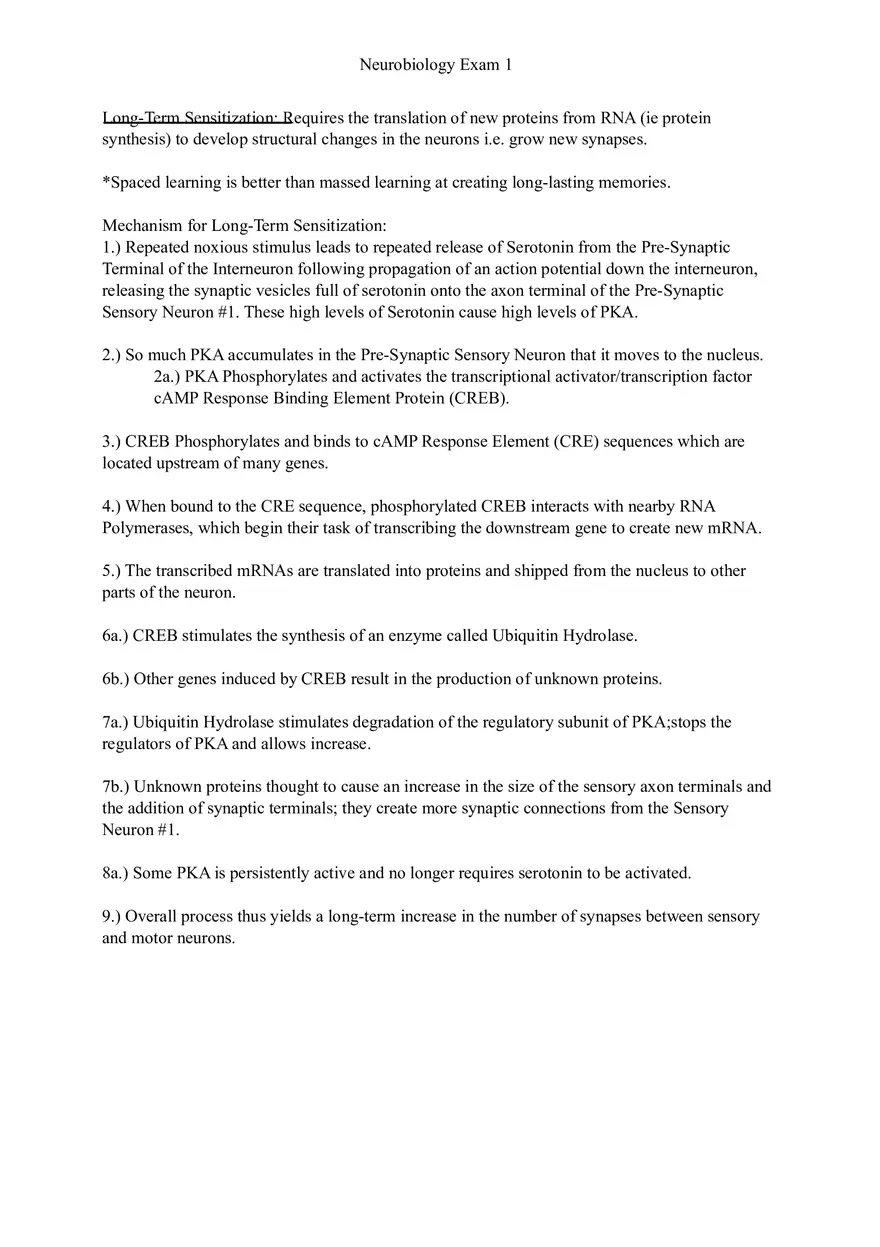 Understanding Brain Dissection and Histology Part 4 - Page 10