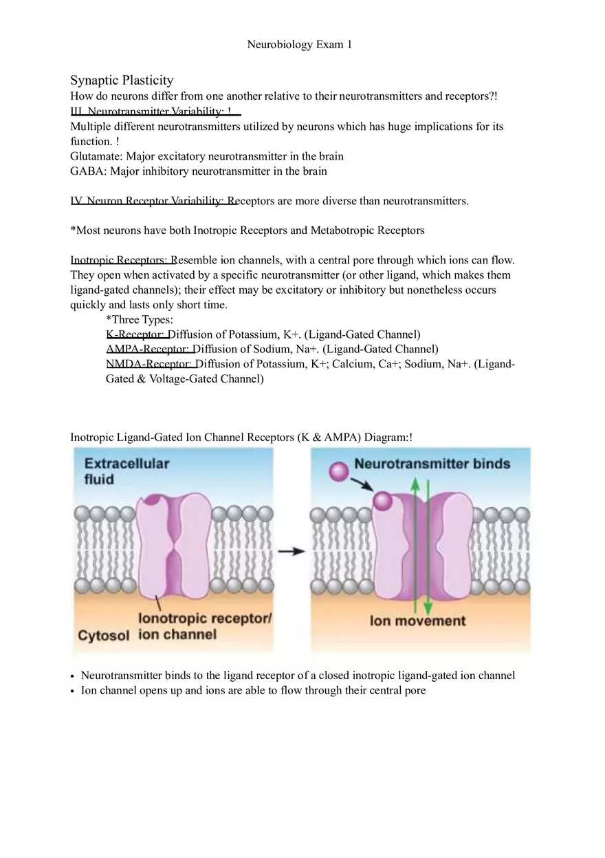 Understanding Brain Dissection and Histology Part 4 - Page 2