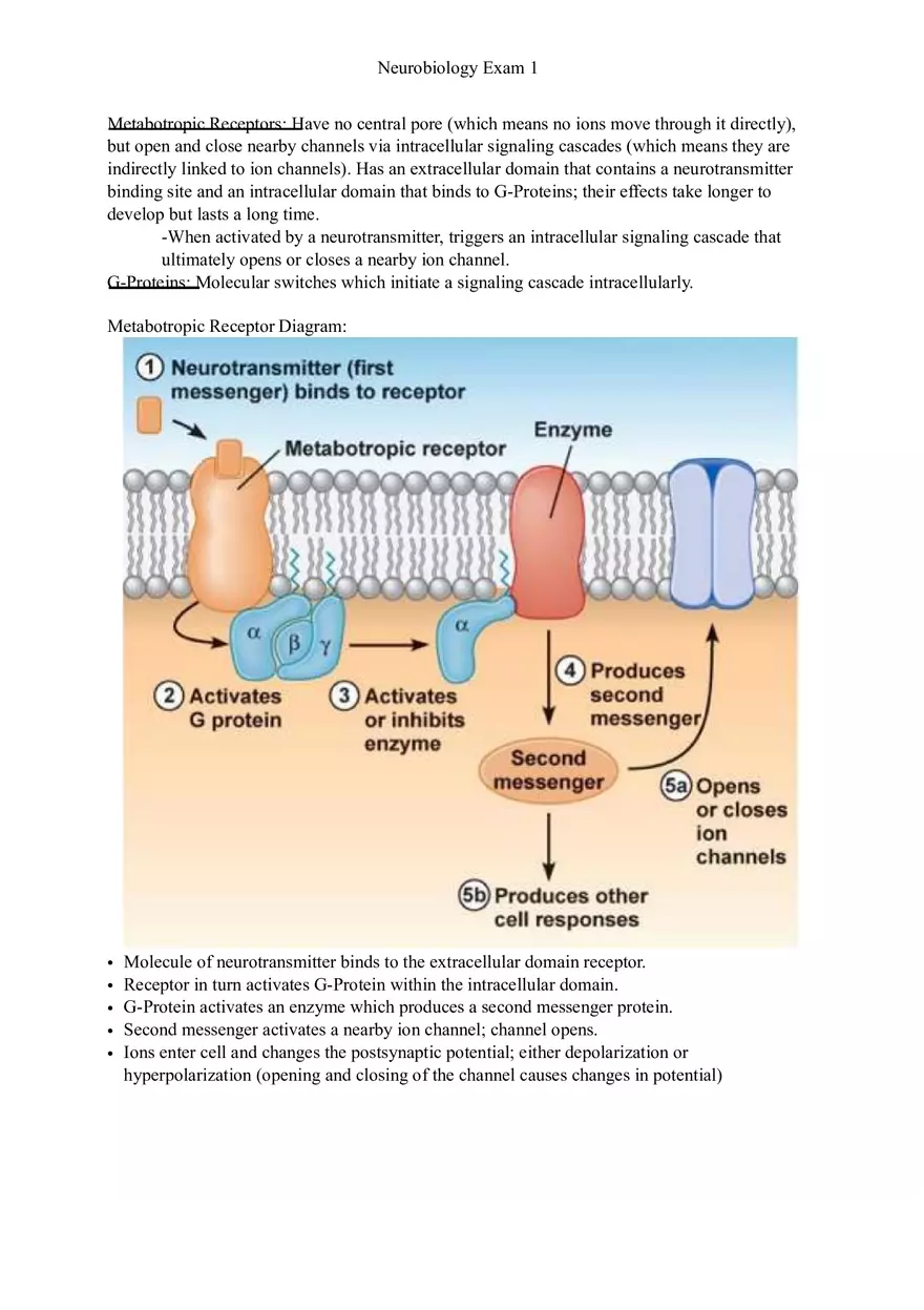 Understanding Brain Dissection and Histology Part 4 - Page 4
