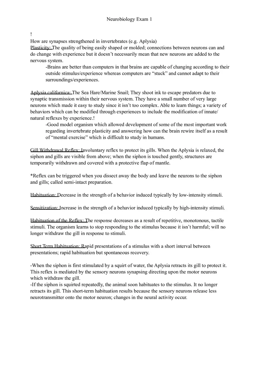 Understanding Brain Dissection and Histology Part 4 - Page 5