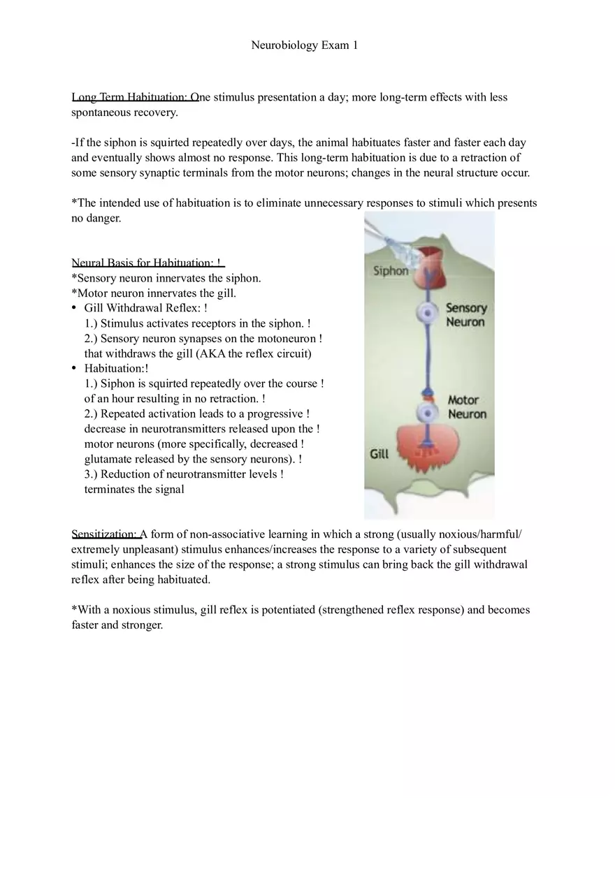 Understanding Brain Dissection and Histology Part 4 - Page 6