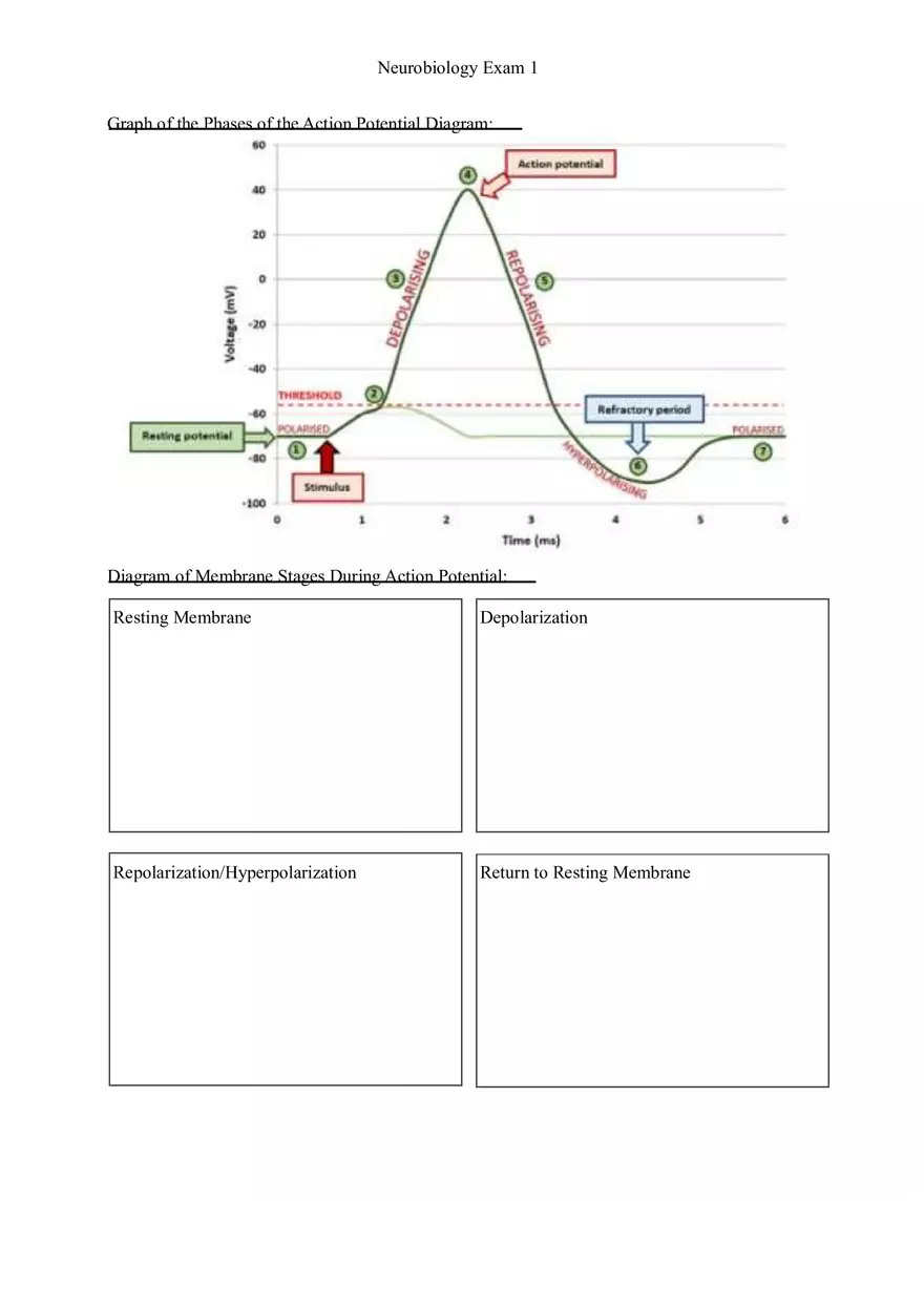 Understanding Brain Dissection and Histology Part 2 - Page 7