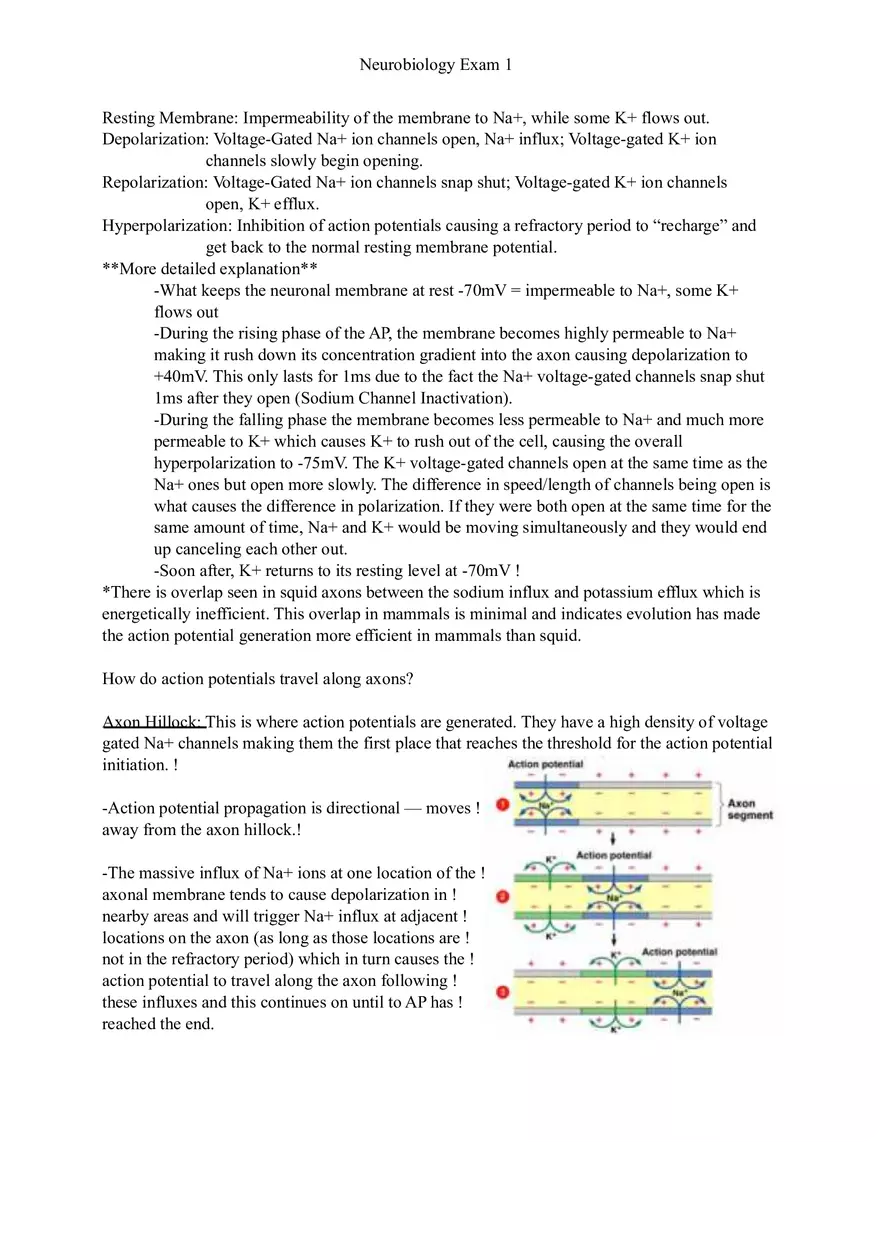 Understanding Brain Dissection and Histology Part 2 - Page 8
