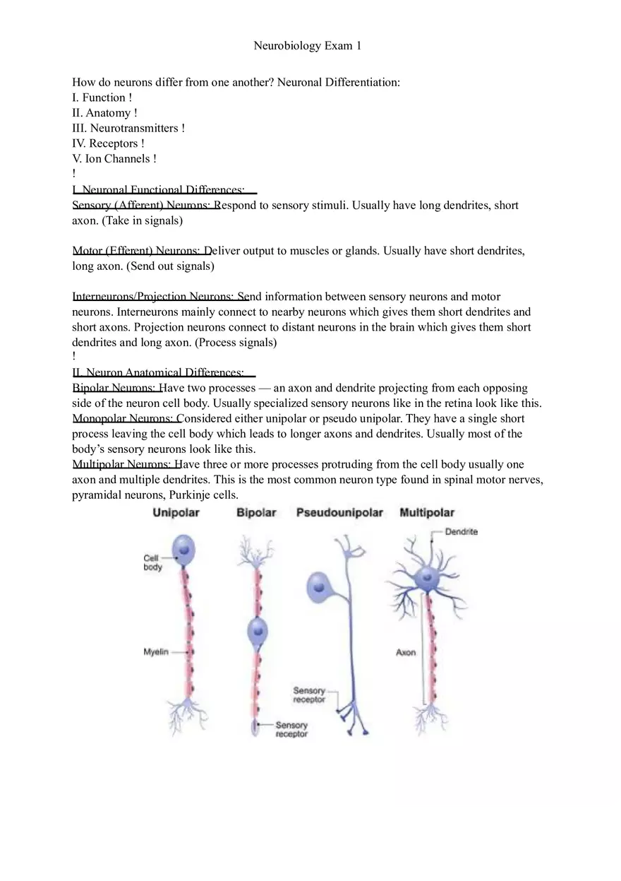 Understanding Brain Dissection and Histology Part 2 - Page 10