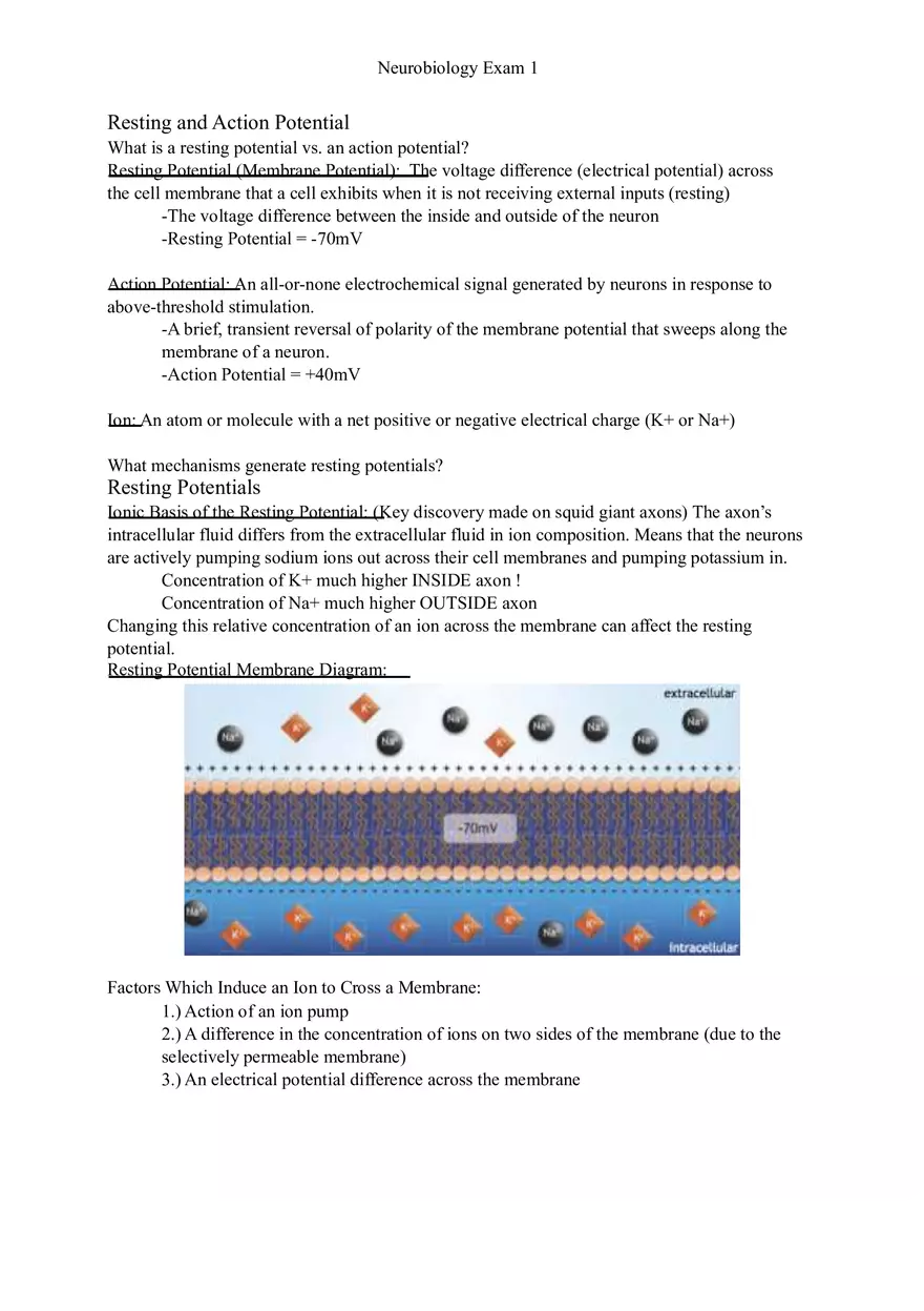 Understanding Brain Dissection and Histology Part 2 - Page 2