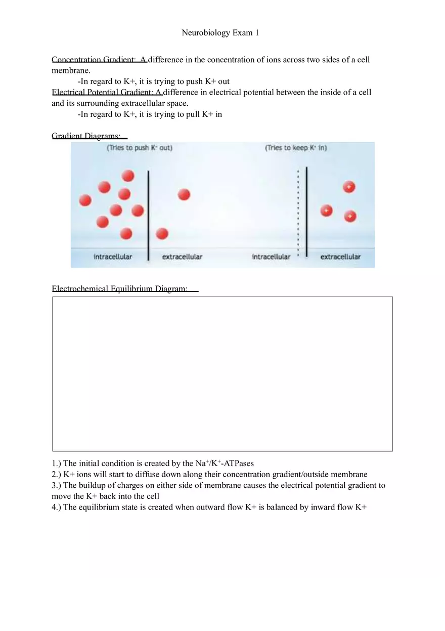 Understanding Brain Dissection and Histology Part 2 - Page 4