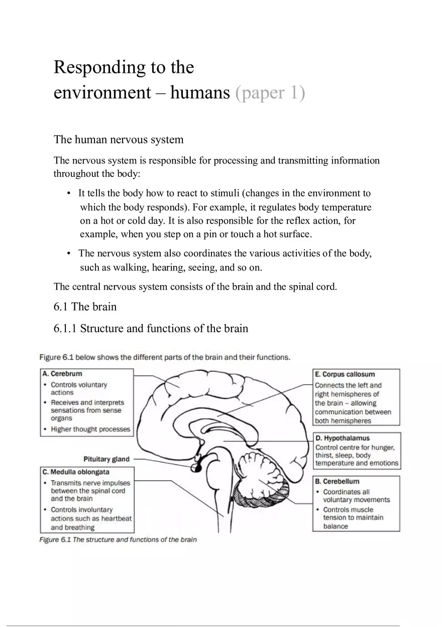 Responding to the Environment - Humans - Page 1