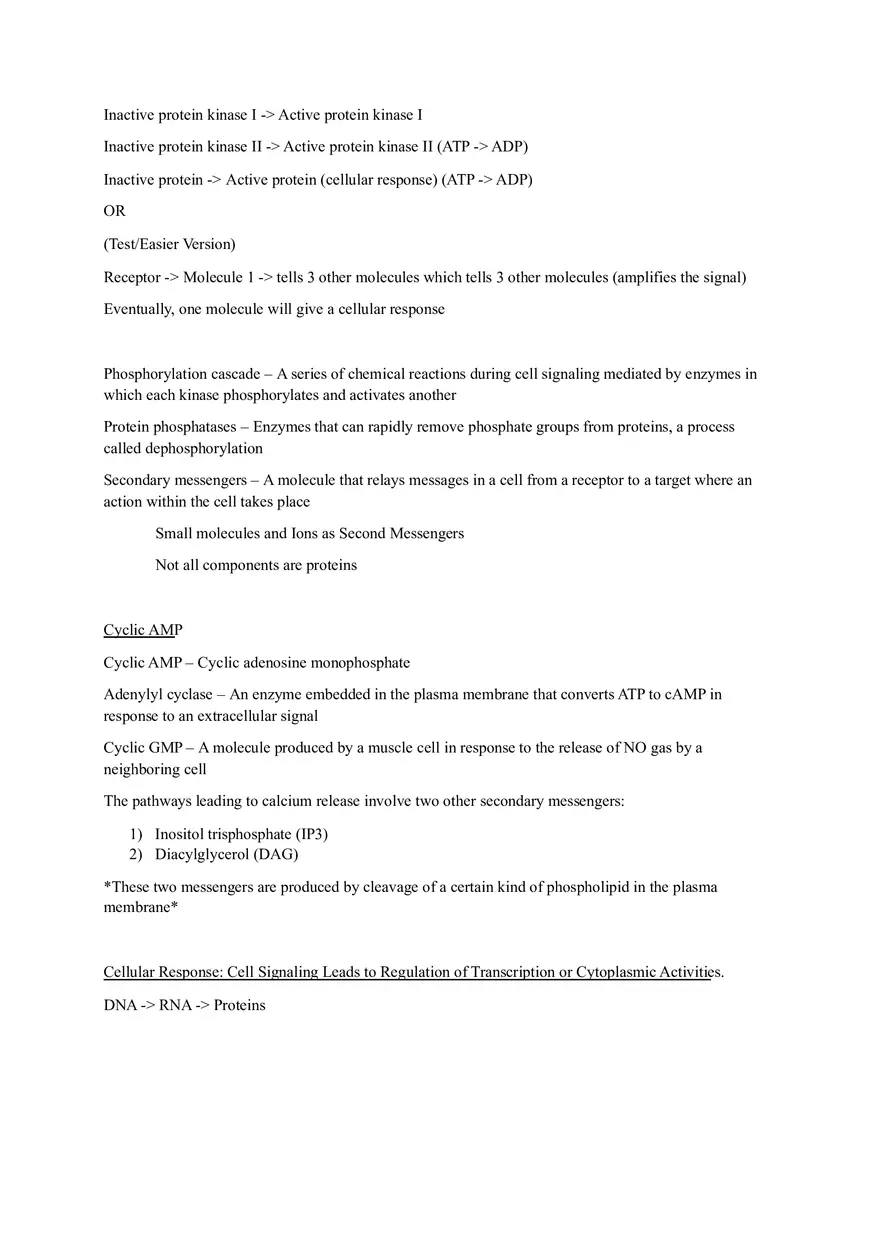 Biology - Chapter 11 Notes (Cell Communication) - Page 3