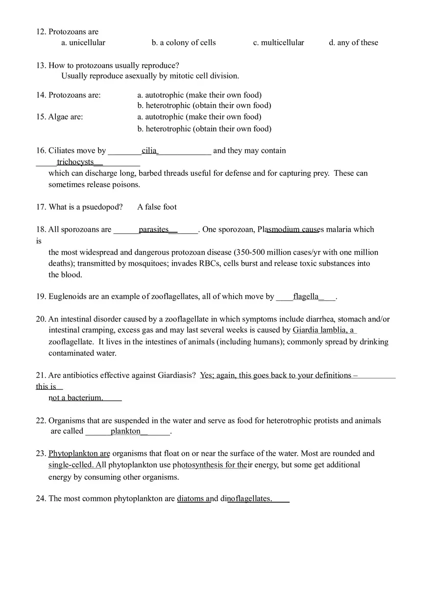 Protists (Eukaryotes) Worksheet Answers - Page 2