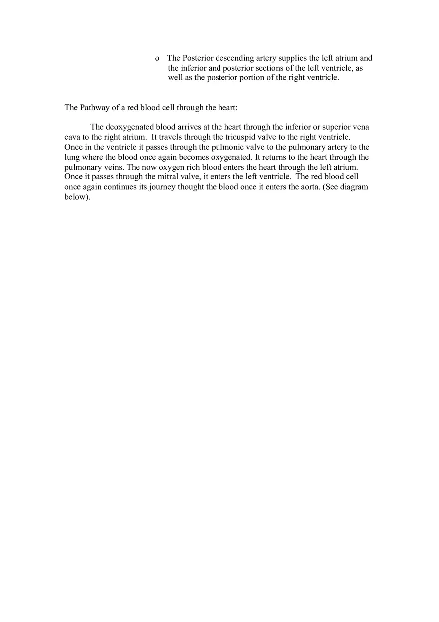 Cardiovascular System Part 1 - Page 7