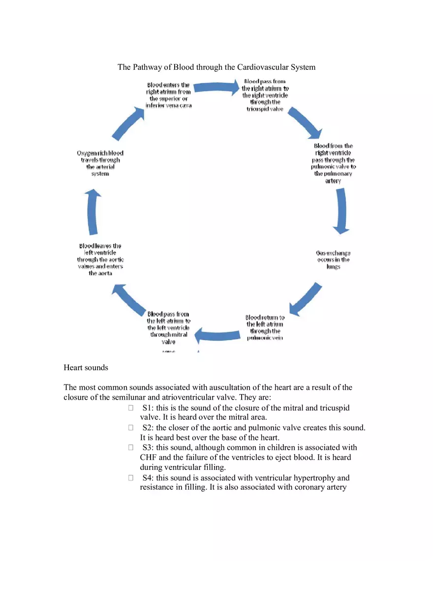 Cardiovascular System Part 1 - Page 8