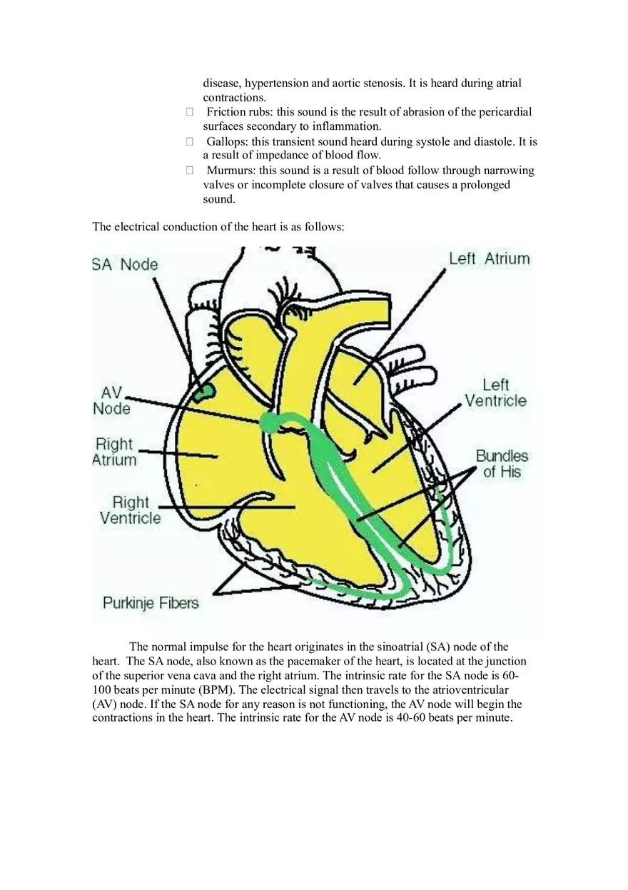 Cardiovascular System Part 1 - Page 9