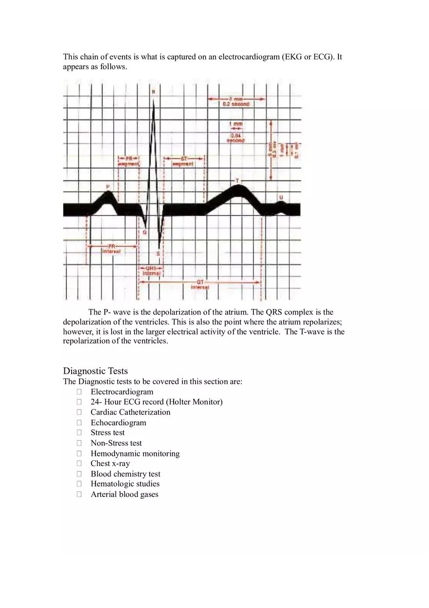 Cardiovascular System Part 1 - Page 11