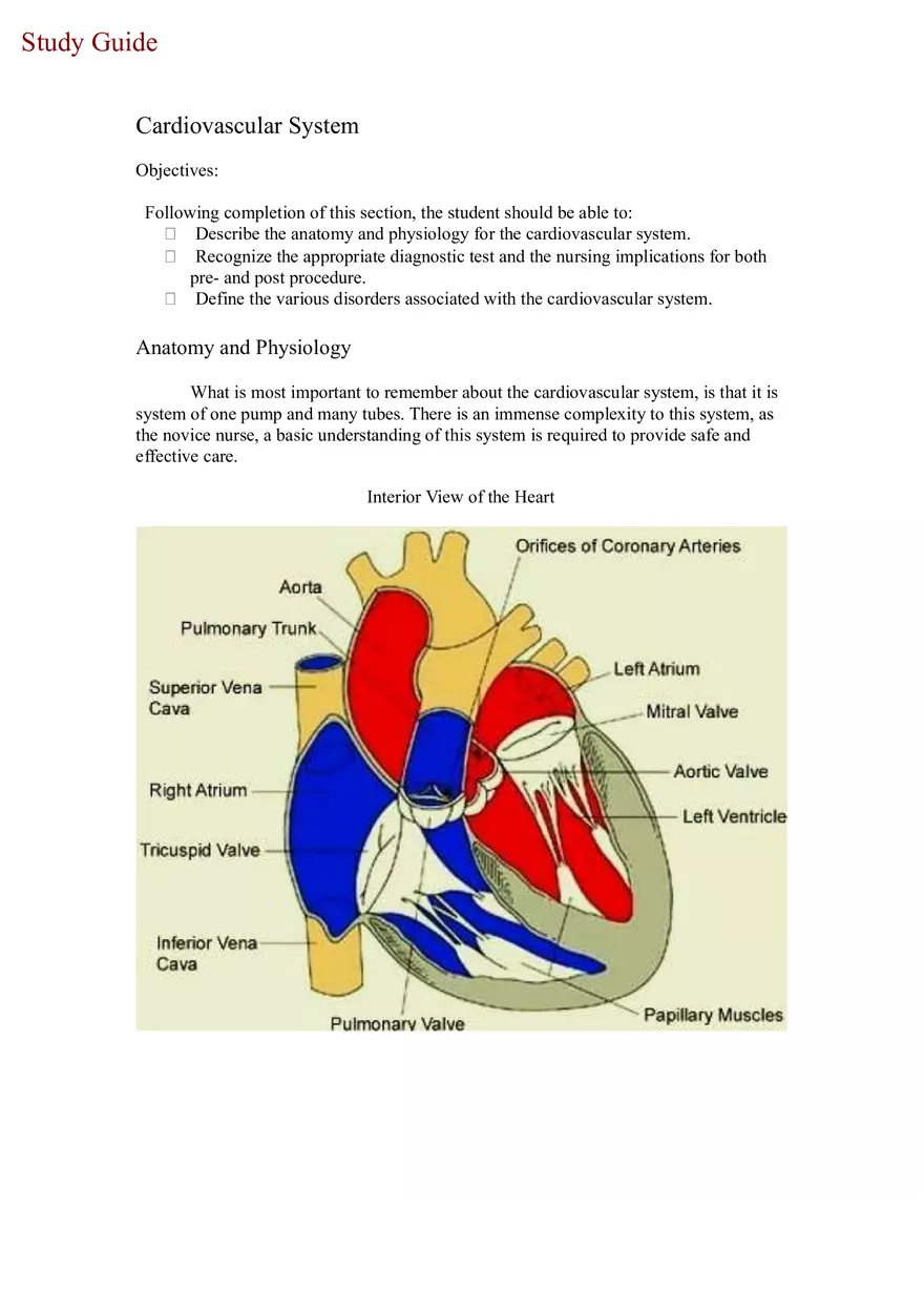 Cardiovascular System Part 1 - Page 1