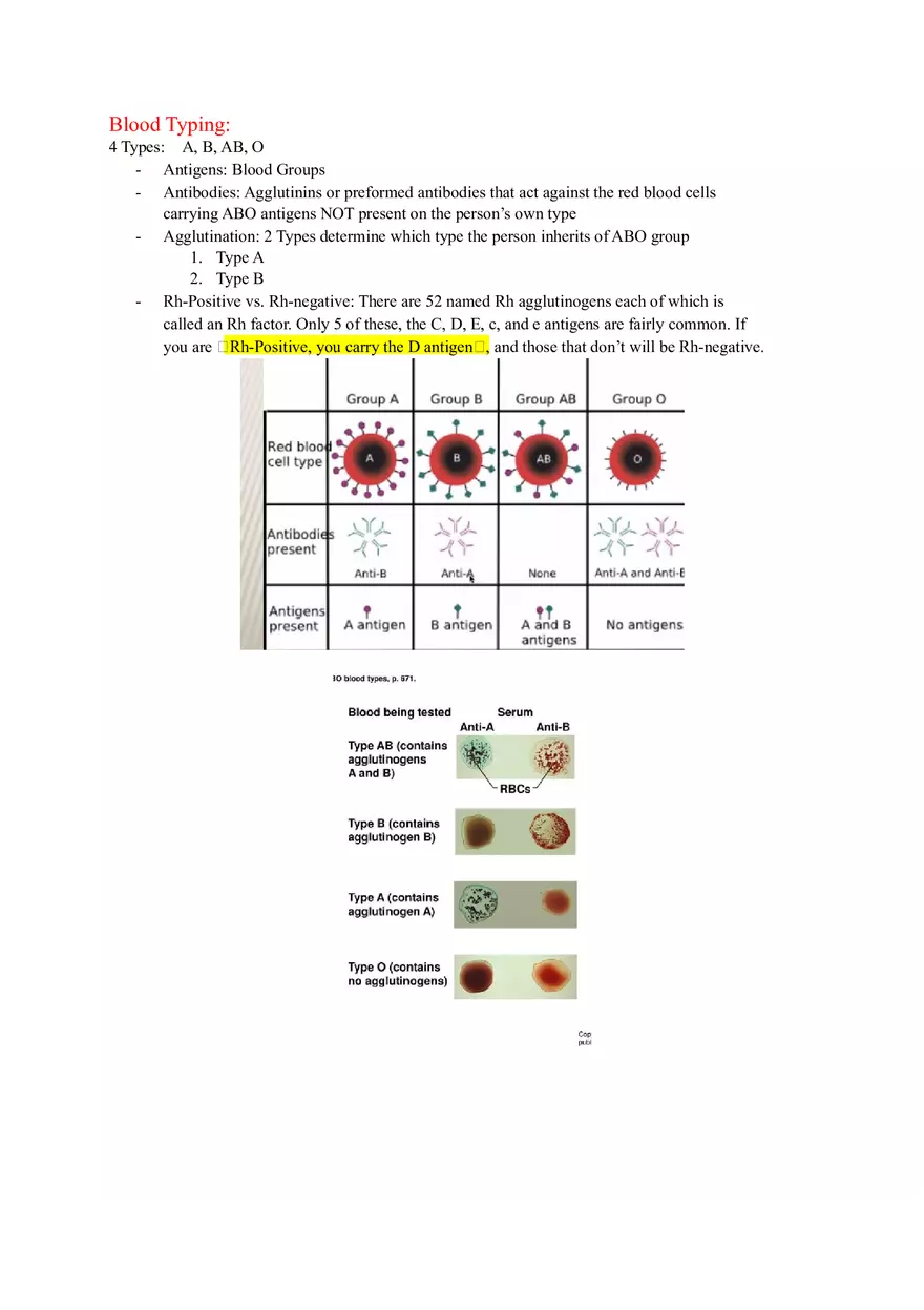 Anatomy and Physiology Lab - The Endocrine System - Page 5